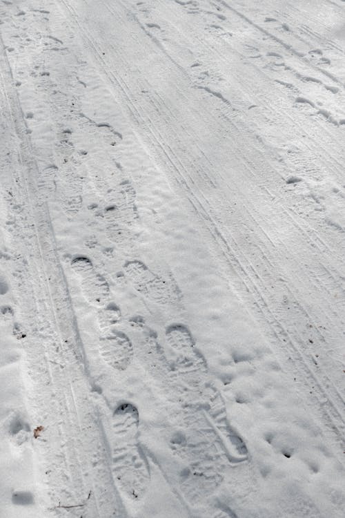 Rural path covered with white snow and various traces with tracks in suburb area of countryside on cold winter day