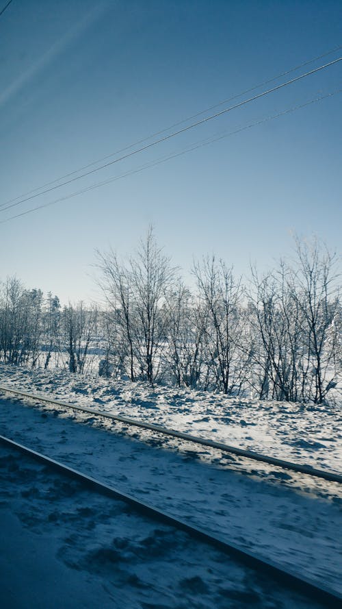 Snowy railroad tracks located among leafless trees in countryside under cloudless blue sky in sunny day