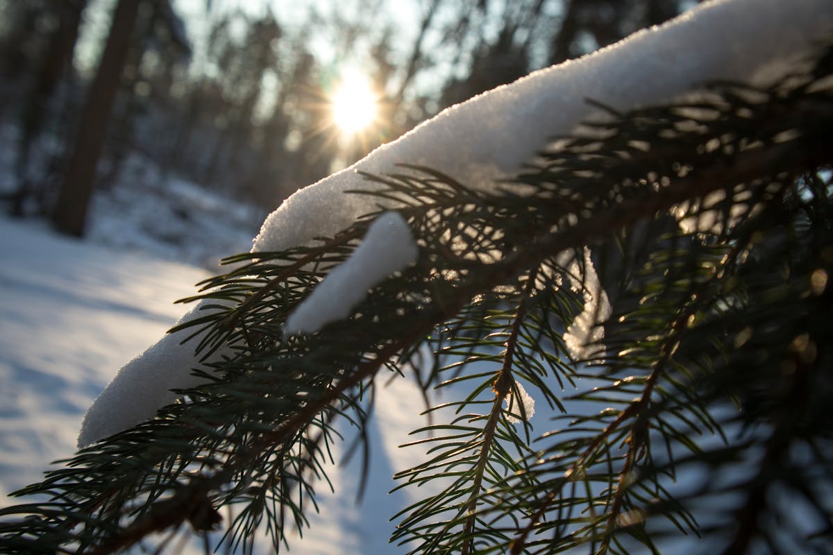 Flood protection barriers and sea walls along a coastal city