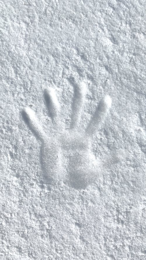 Free A Handprint on the Snow Stock Photo
