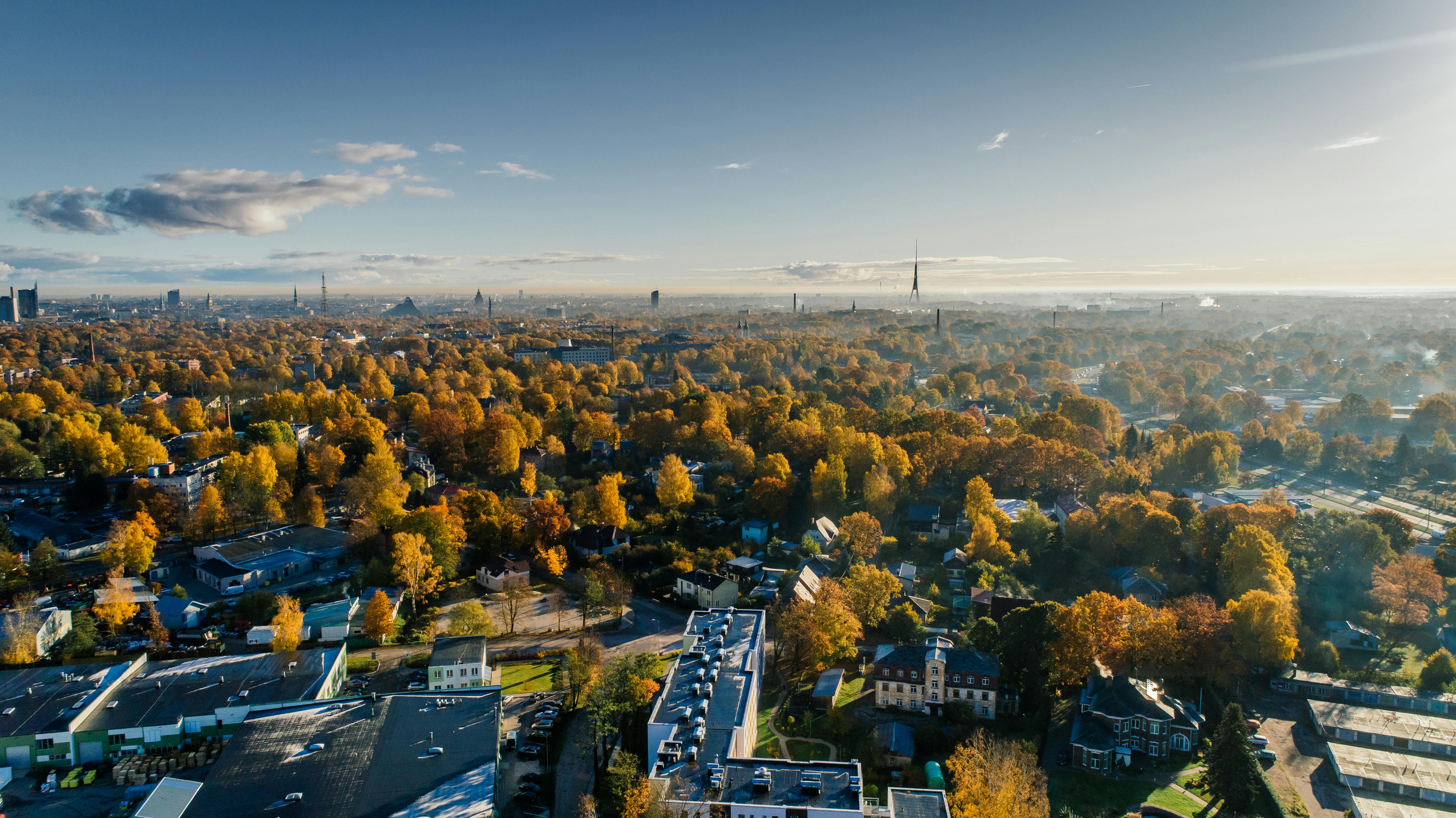 aerial photograph of city buildings and trees