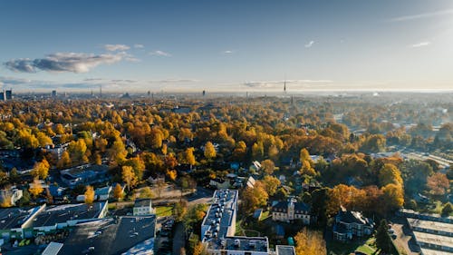 Free Aerial Photograph of City Buildings and Trees Stock Photo
