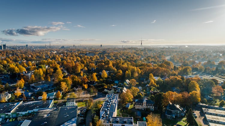 Aerial Photograph Of City Buildings And Trees