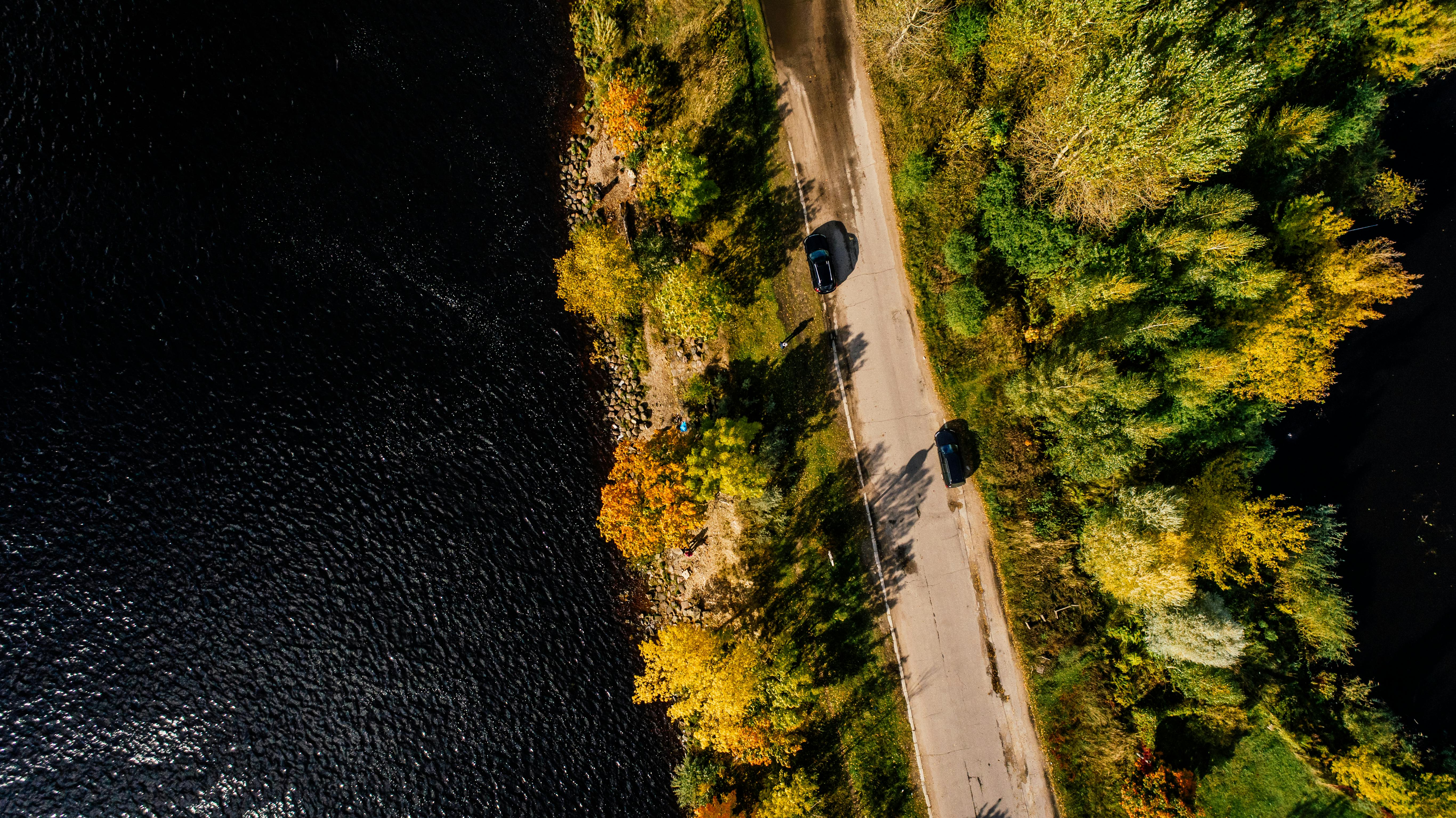 Aerial Photography of Road Between Trees on Body of Water Aerial Photography of Road Between Trees on Body of Water