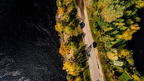 Aerial Photography of Road Between Trees on Body of Water