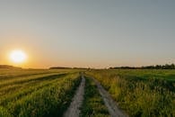 Green Grass Field during Sunset