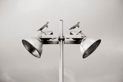Free Two doves perched on a metal streetlight with a cloudy sky backdrop. Stock Photo