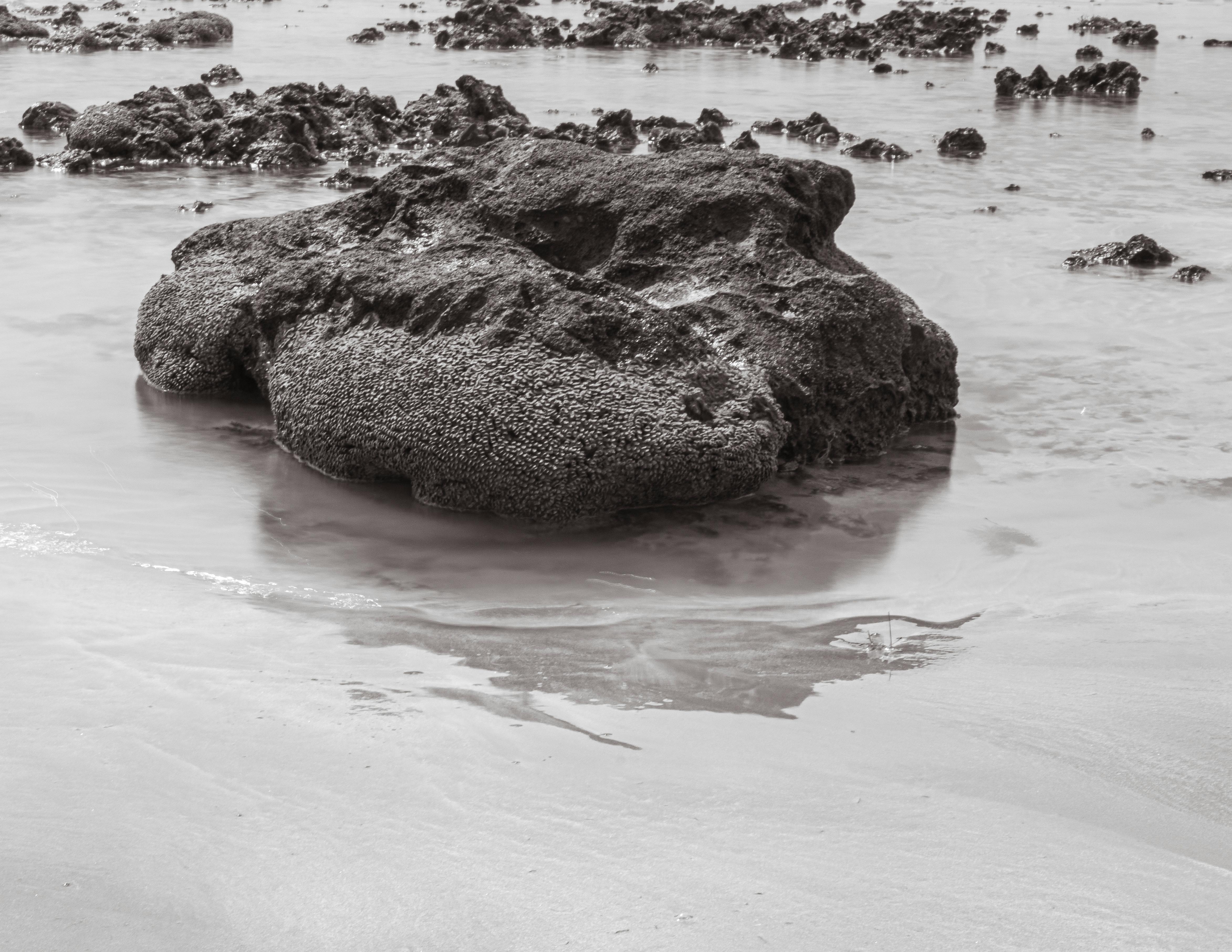 Older couple reviewing medical information on a tablet at home