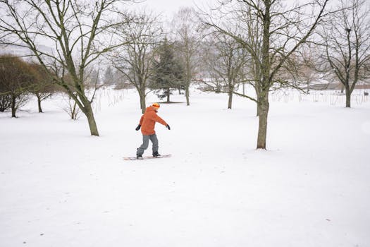 Person wearing winter clothes snowboarding among bare trees in a snowy park setting.