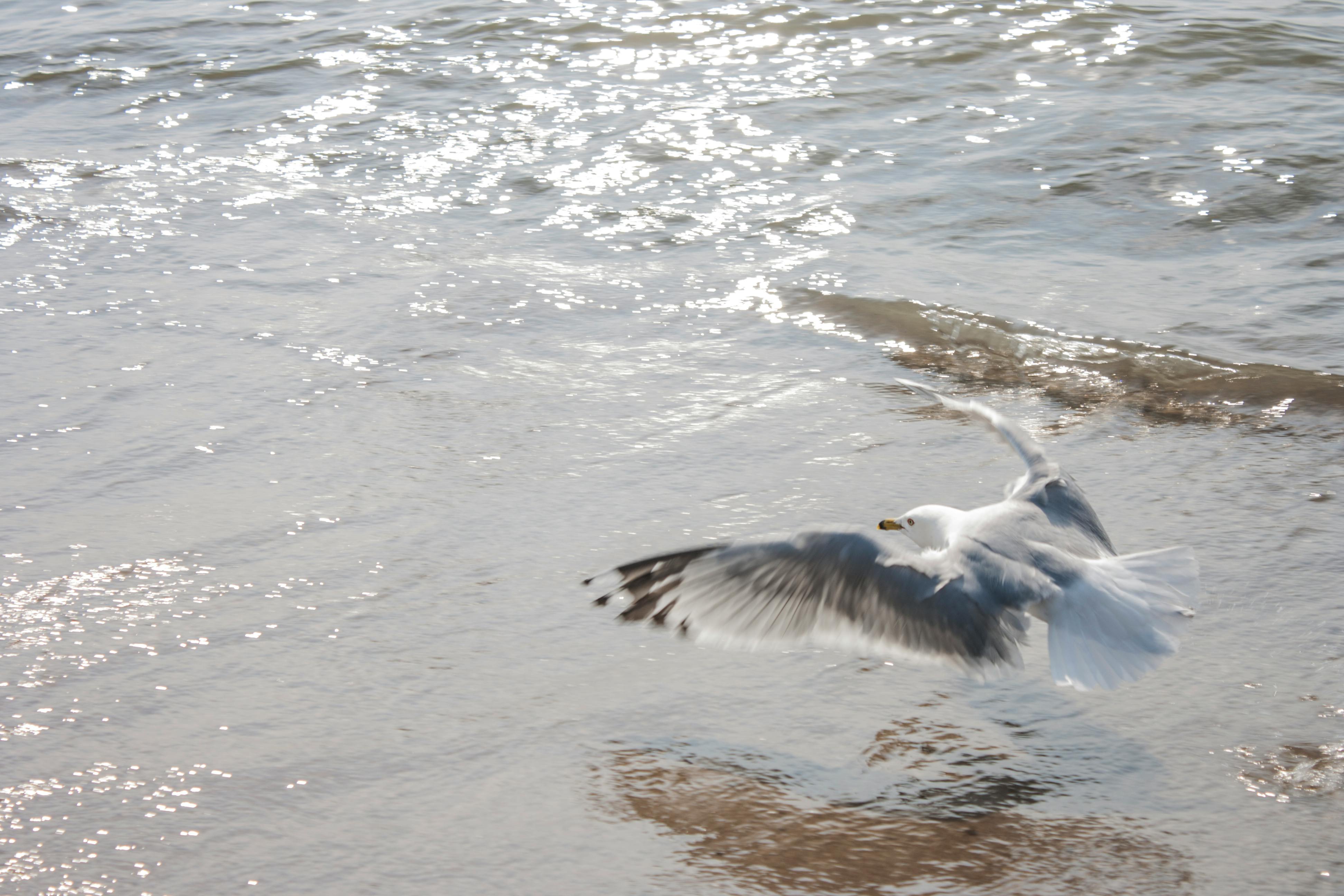 Older woman sitting on a sofa while a caregiver gently holds her hand, symbolizing dementia caregiving and support