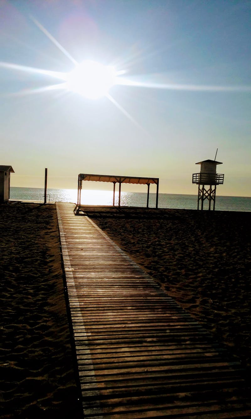 Animal Health Certificate (AHC) Nasıl Alınır? Türkiye'den AB'ye Evcil Hayvan Giriş Rehberi 2026 - Görsel 2