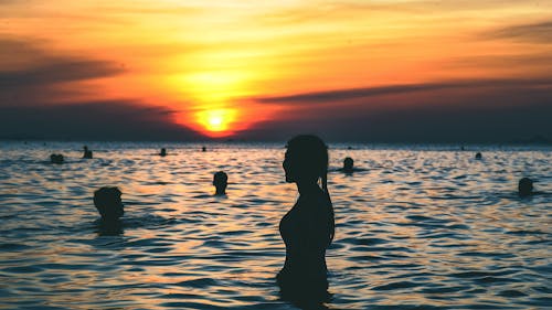 Free Silhouette Photography of People Swimming on the Beach during Golden Hour Stock Photo