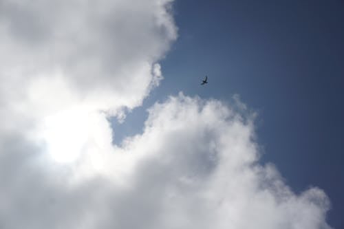 Free stock photo of blue sky, clear sky, clouds