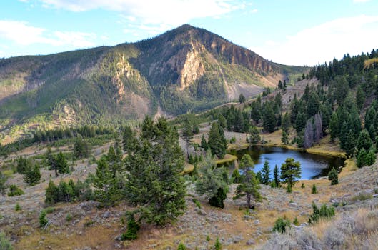 Explore the breathtaking mountain landscapes and peaceful lake in Yellowstone National Park.