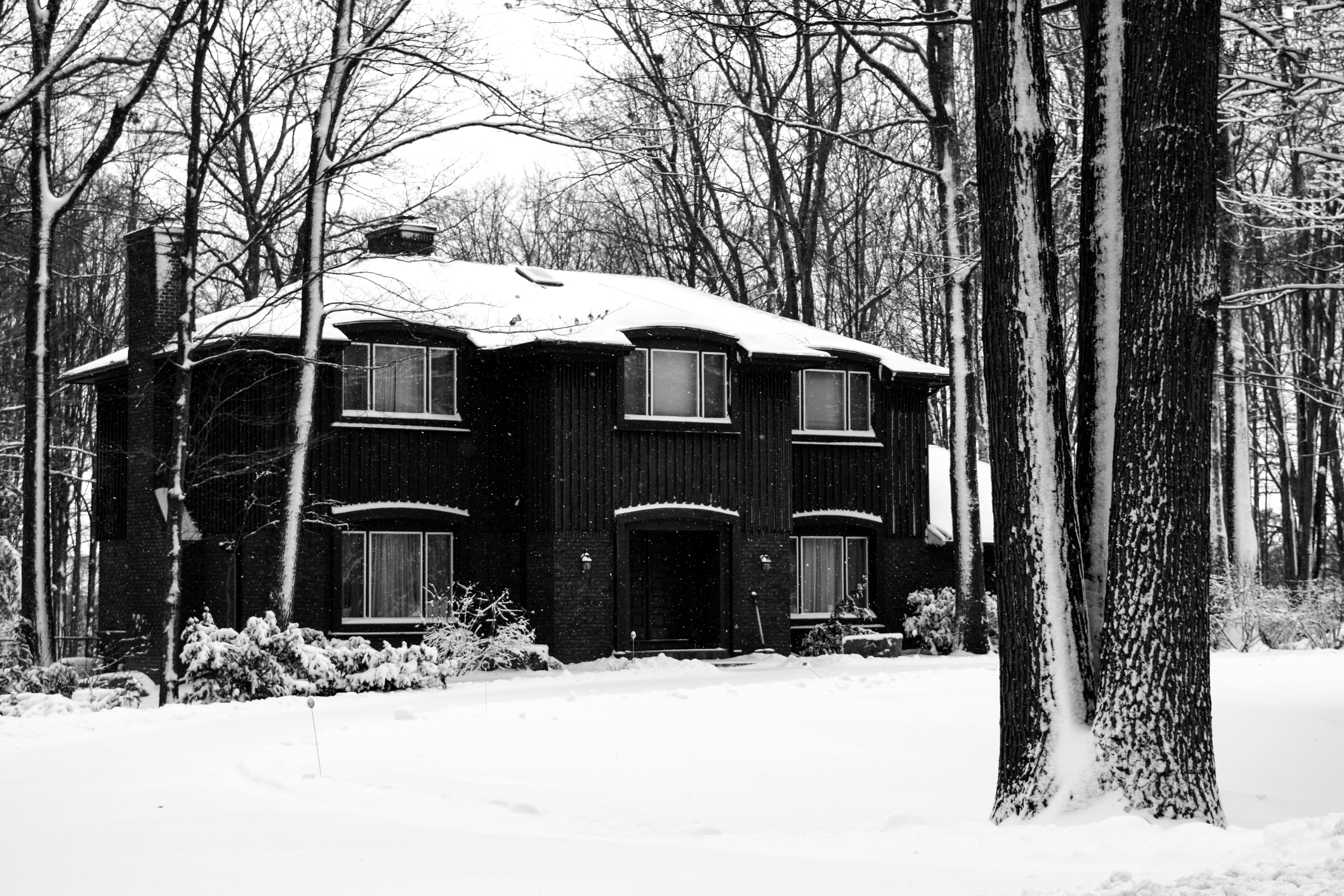 A black and white image of a snow-covered house surrounded by trees in winter.