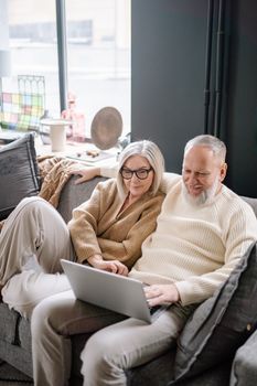 Senior couple relaxing on a sofa, using a laptop, enjoying cozy home moments.