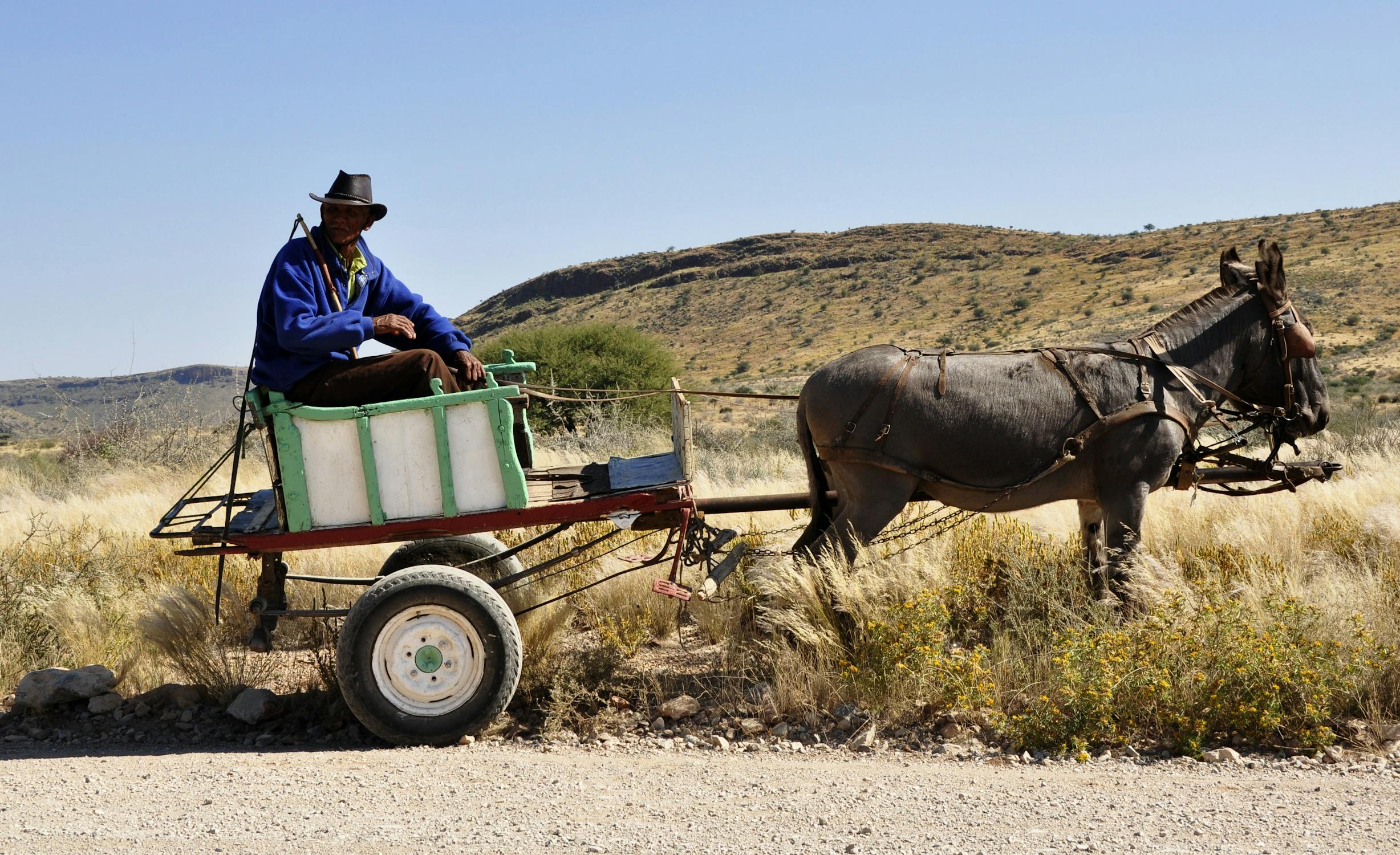 Donkey cart Photo by Pixabay from Pexels: https://www.pexels.com/photo/man-riding-on-carriage-pulled-by-donkey-under-blue-sky-during-daytime-68180/