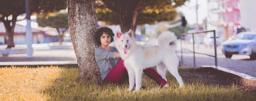 Mulher De Blusa Cinza De Manga Comprida E Calça Vermelha Sentada Ao Lado Da árvore E Cachorro Branco De Pêlo Médio