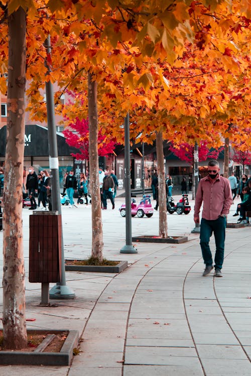 Photos gratuites de amour d'automne, couleurs, marcher