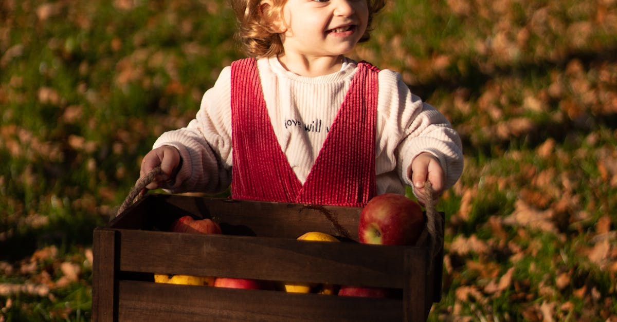 How big is a bushel of apples
