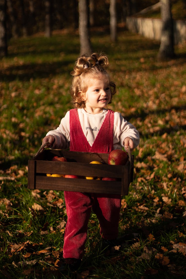 Girl Carrying Box With Apples