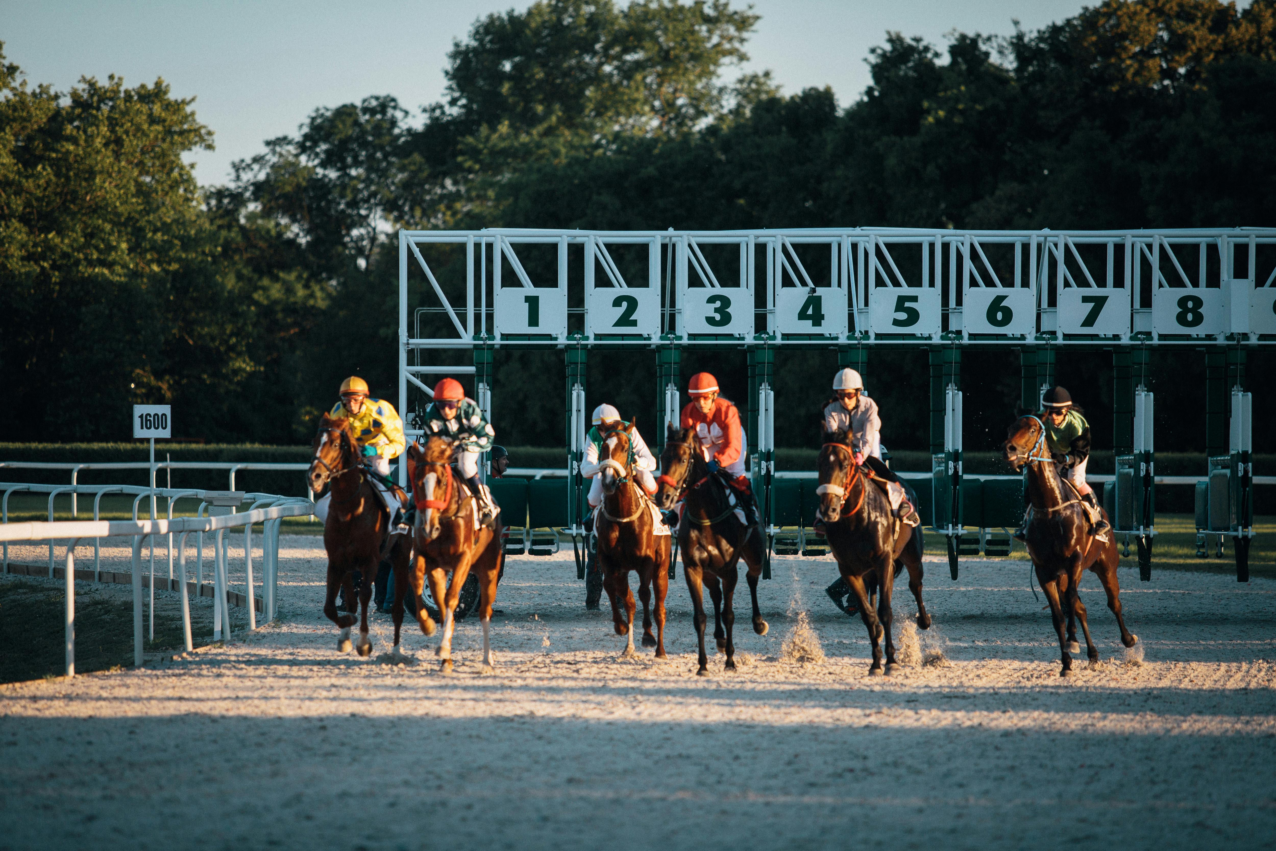 Jockeys and horses burst from the starting gate in a thrilling race in Budapest.