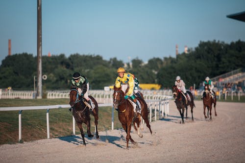 Photo of Racing Horses 