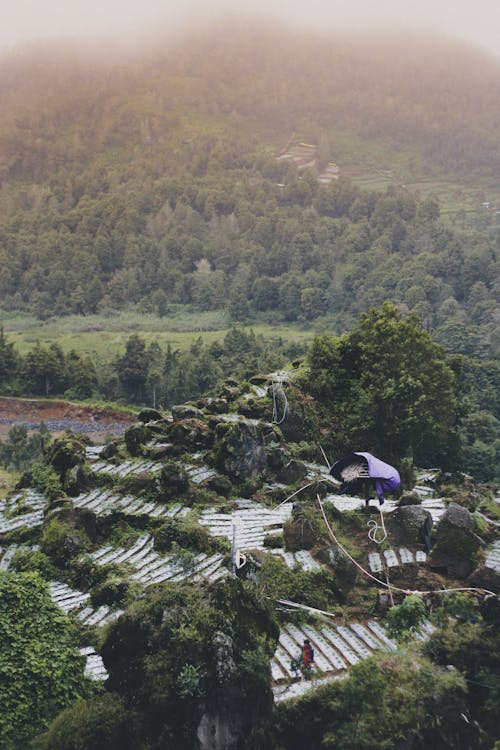 An Aerial Photography of Green Trees on Mountain Near the Field