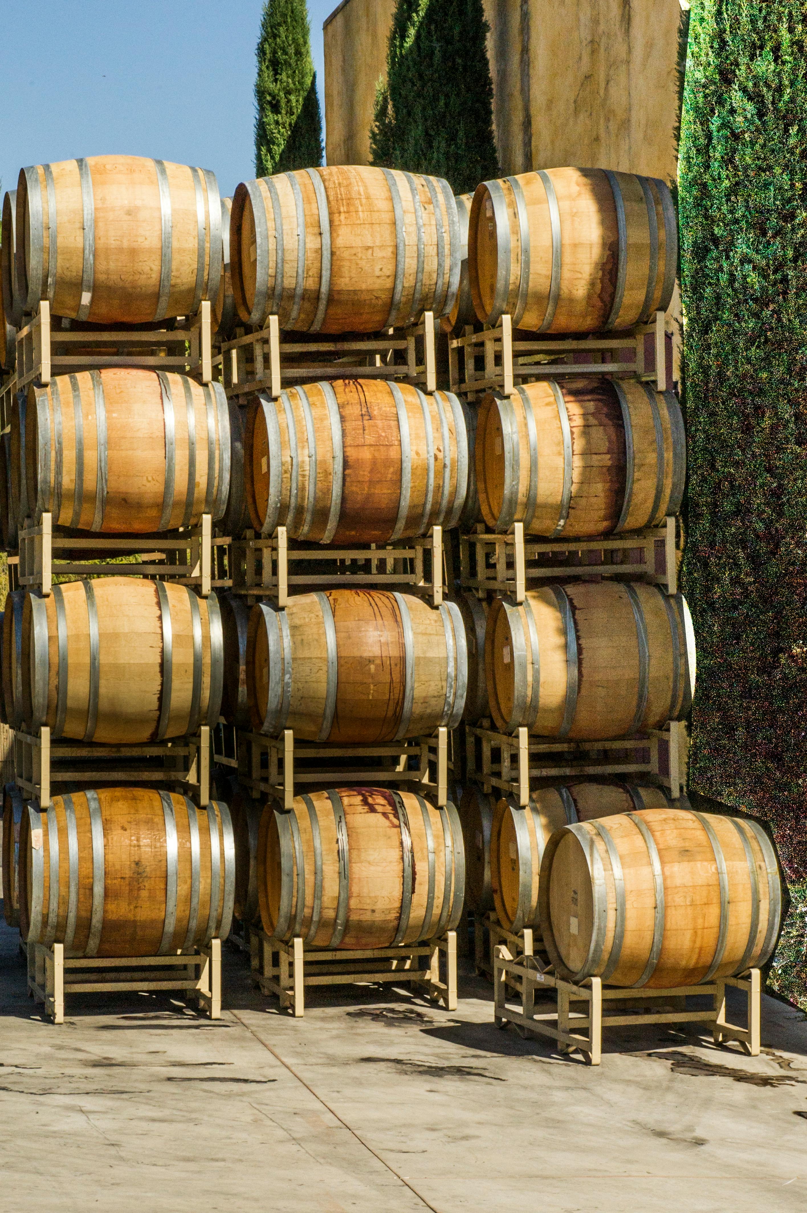 Free stock photo of barrels, vats, wine