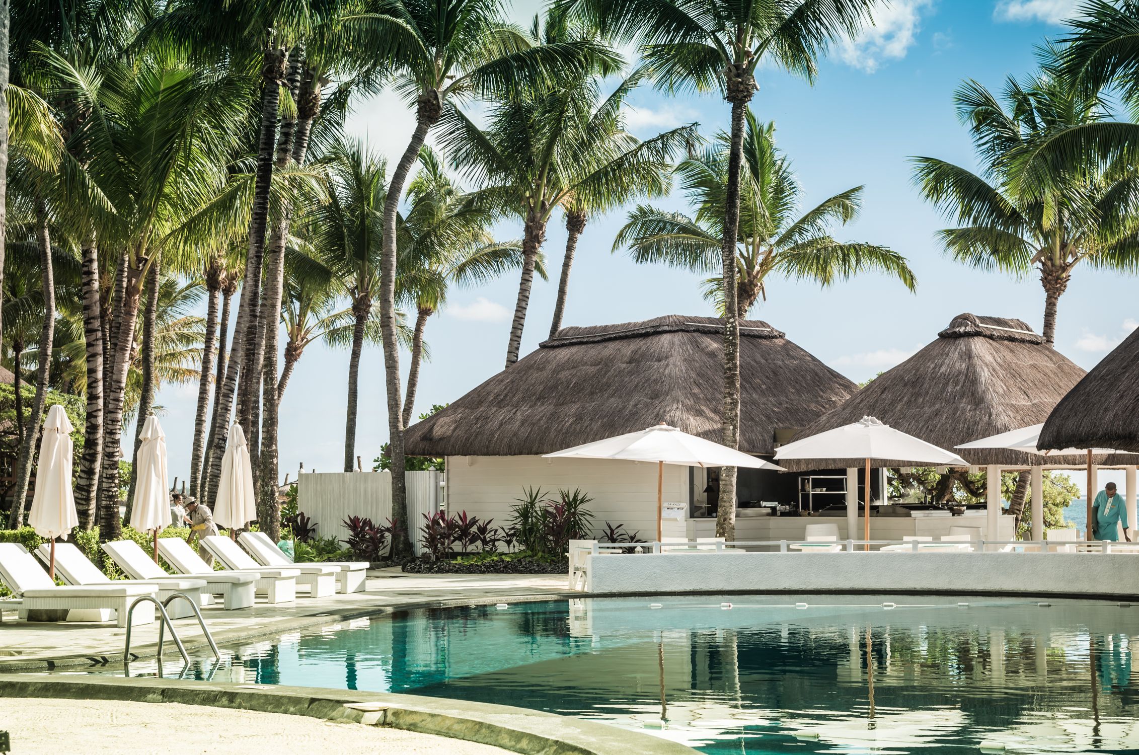 Resort pool setting with palm trees and clear tropical water.