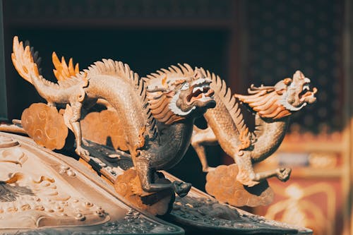 6 000+ Dragon Chinois banque d'images et photos libres de droit ·  Téléchargement gratuit · Photos Pexels