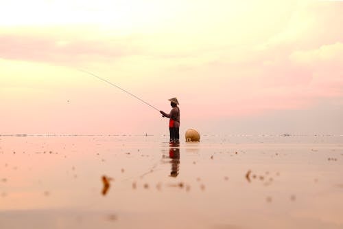 adam, altın saat, Balık tutmak içeren Ücretsiz stok fotoğraf