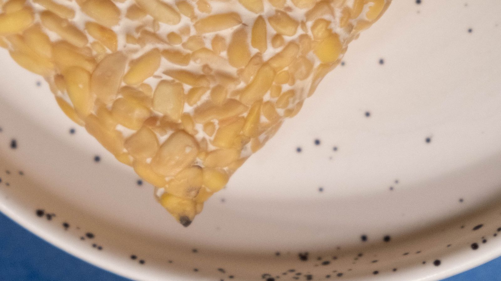 Close-up of tempeh on a speckled ceramic dish — photo by cottonbro studio on Pexels Close-up of tempeh on a speckled ceramic dish