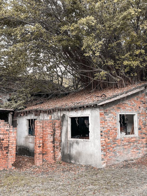 Ingyenes stockfotó ablak, beton, elhagyatott témában