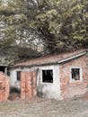 Abandoned Concrete House under the Tree