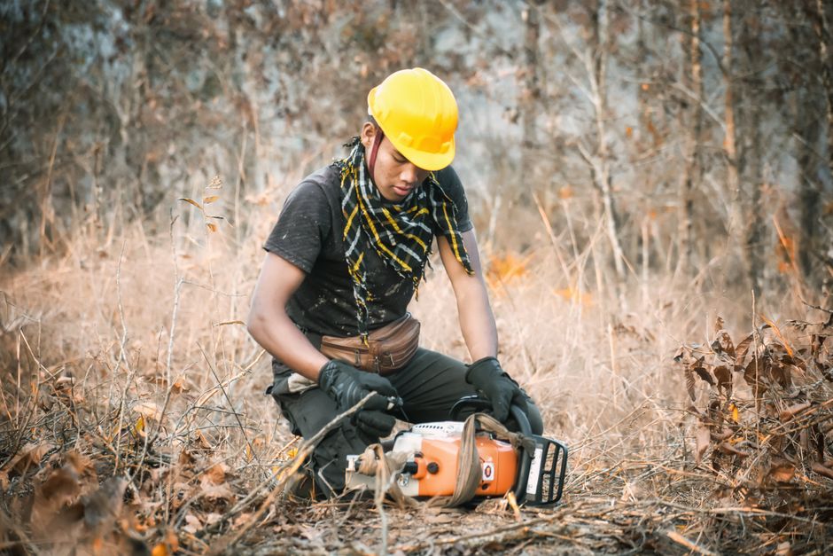Professional tree worker with safety gear and chainsaw — equipment required when pruning tall trees in Surrey BC
