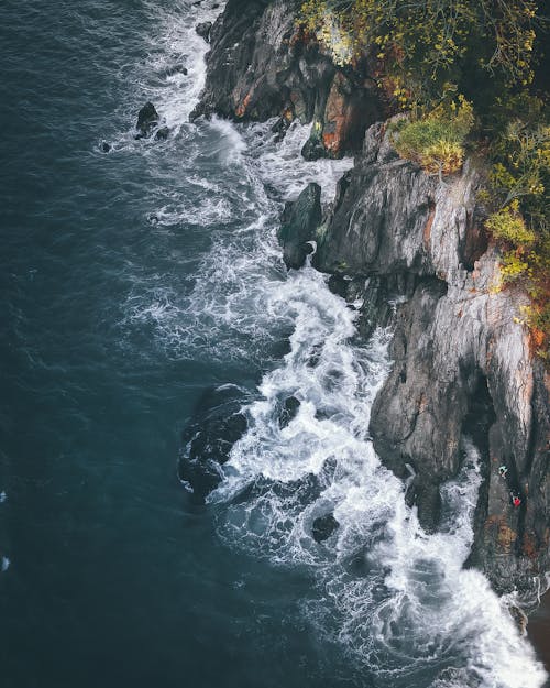 Drone view of amazing landscape of foamy waves of powerful turquoise ocean crashing on massive rocky cliff covered with lush green vegetation