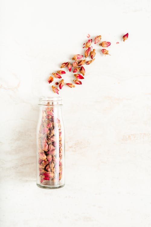 Red Flower Buds in Clear Glass Jar 