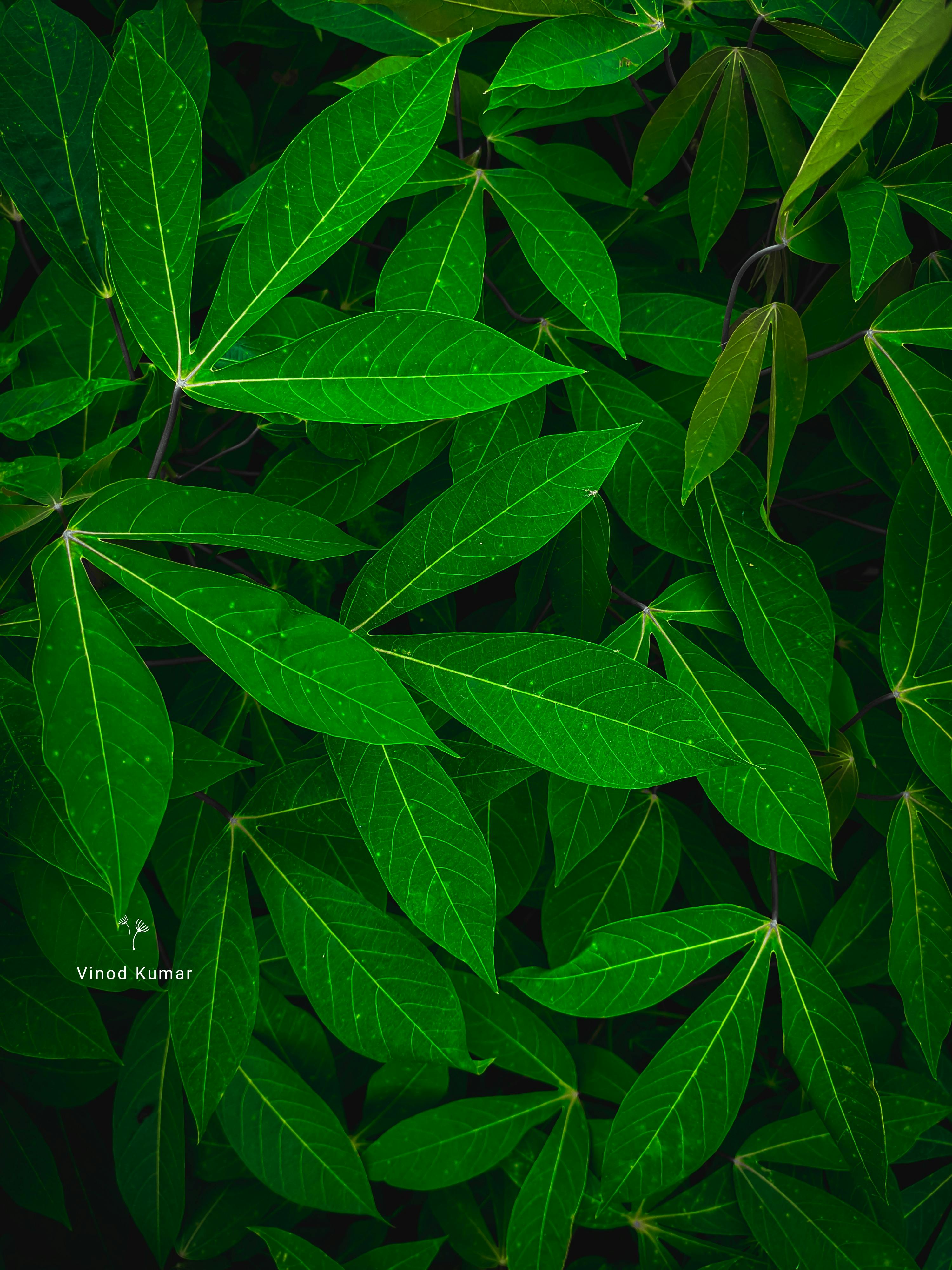 Persona con dolor de estómago, posible efecto secundario