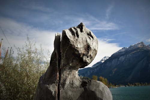 Grijze Man Gesneden Stenen Fotografie