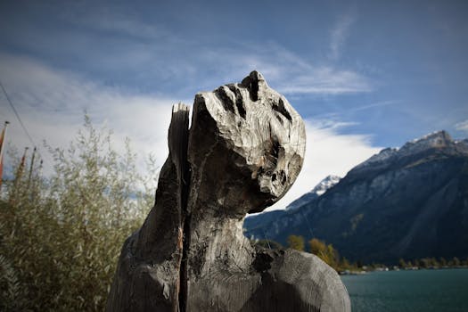 山间湖泊风景优美，背景中乡村木刻的特写视图