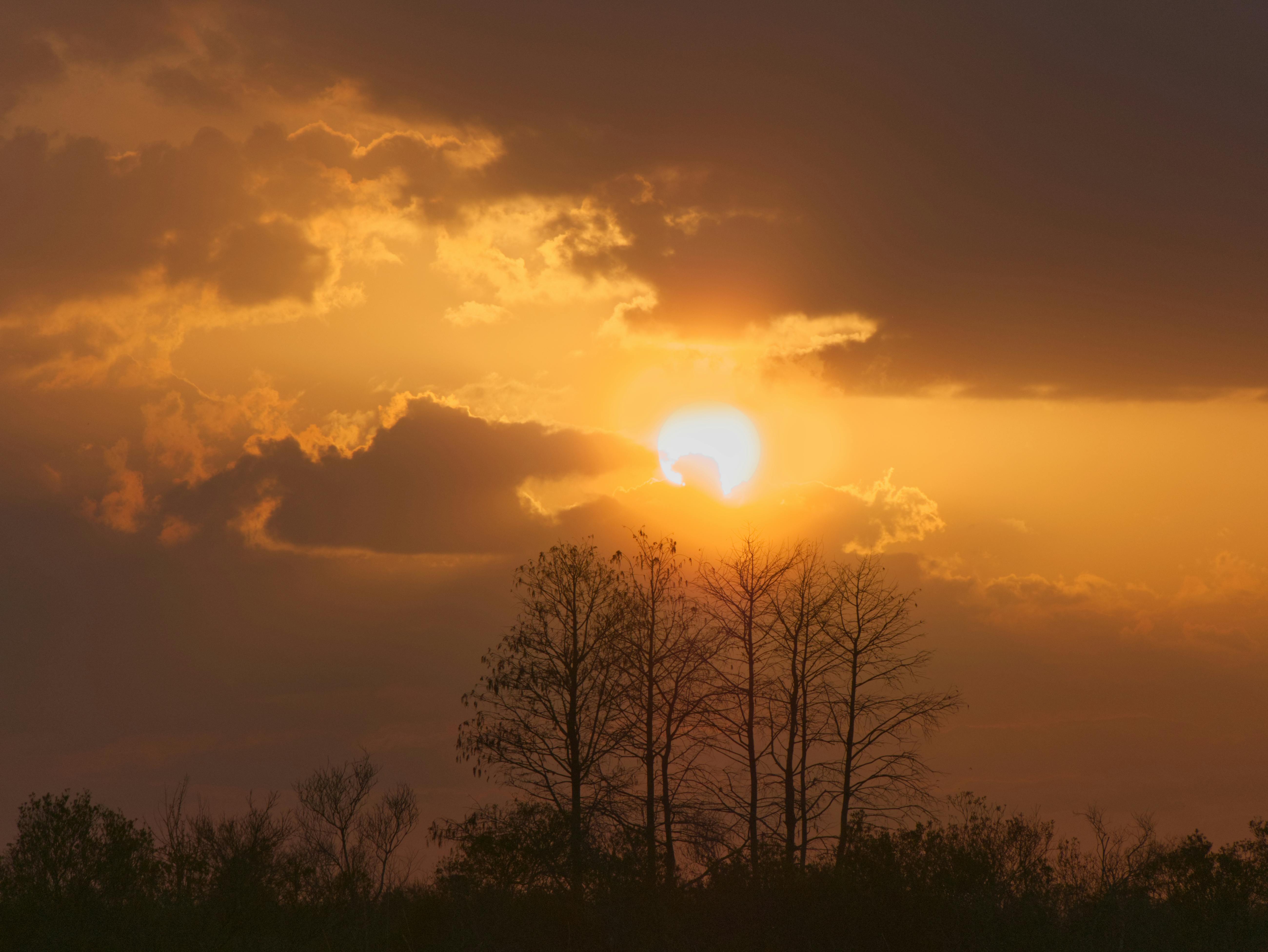 How to Store Clinical Waste Safely Before Collection: A UK Clinic's Complete Guide