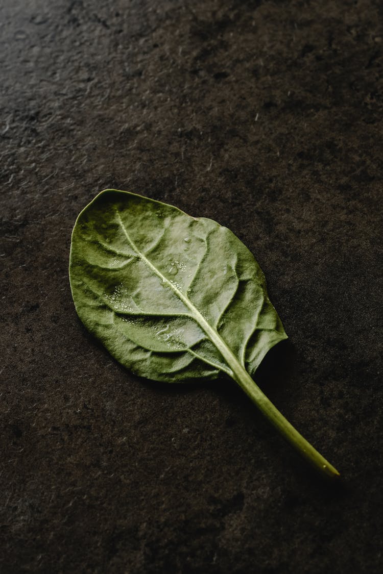 A Spinach Leaf On A Black Surface 