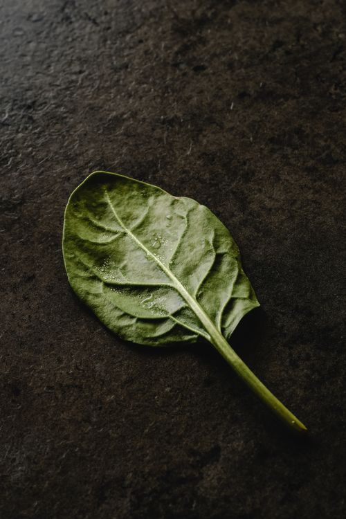 Free Detailed view of a spinach leaf with water droplets on a textured dark surface. Stock Photo
