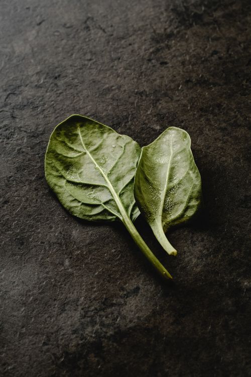 Free Close-up of fresh spinach leaves on a textured dark surface, perfect for healthy food concepts. Stock Photo