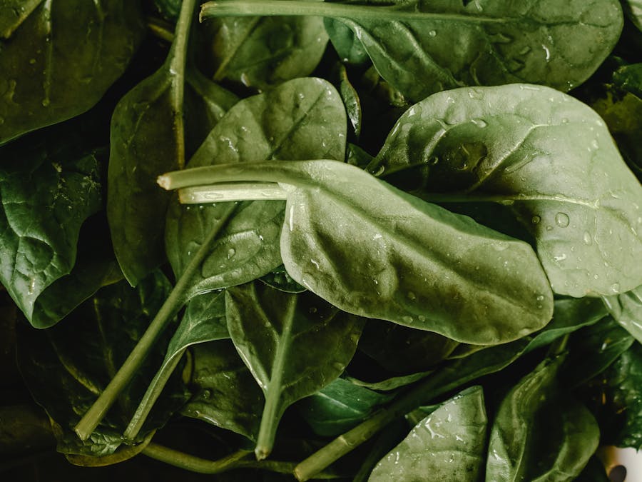 Is spinach good for ketosis?