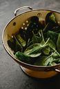 Green Spinach in the Colander