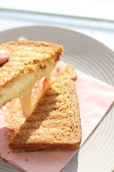 Cheese Sandwich, American Cheese, On Wheat Bread