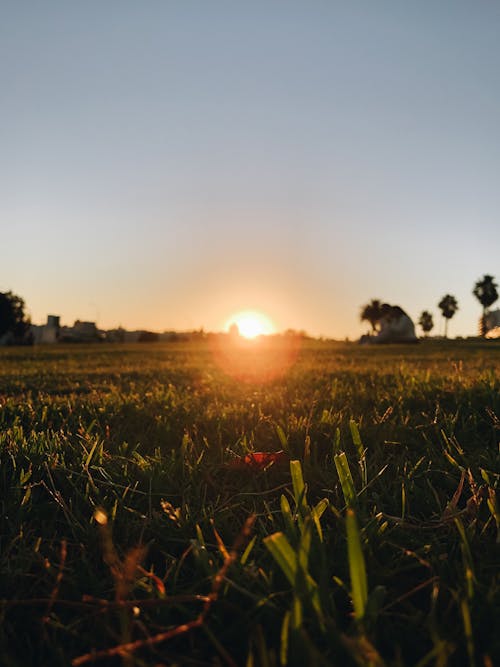 Foto stok gratis atardecer, bidang rumput, cahaya matahari terbenam