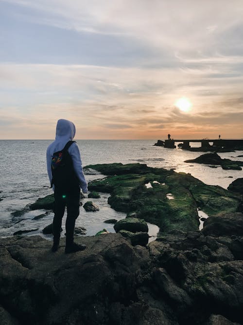 Foto stok gratis air, bayangan hitam, cahaya matahari terbenam